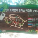 오목문화 유아숲체험원 이미지
