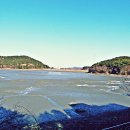 대부해솔길 2코스 이미지