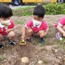 야호농장 이미지