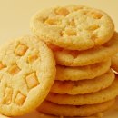 해마루공원로1R-16 | 신제품)오리온 촉촉한 황치즈칩 320g 대용량