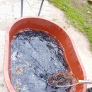 대수농장 이미지