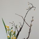 꽃꽂이 중급 이미지