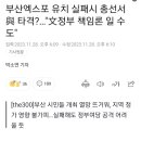 부산엑스포 유치 실패시 총선서 與 타격?…"문재인 정부 책임론 일 수도" 이미지