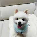 이뻐지는산책 이미지