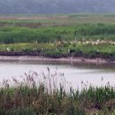 시화호수로4 이미지