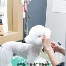 아라펫살롱 이미지