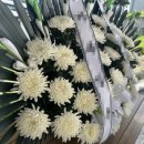 영광장례식장 이미지