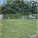 애견천국 이미지