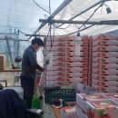 내대리 농장 이미지