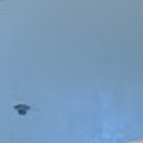 파인땡큐앤드유외과의원 이미지