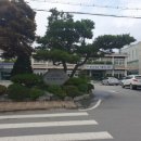 삽교읍행정복지센터 대전일보