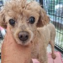 삼문강변로 이미지