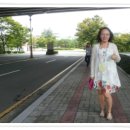 순천고등학교 이미지