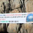바다와향어