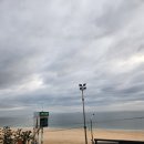 청춘바다포차 네이버블로그