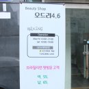 오드리4.6
