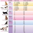 자연앤동물병원 미용실 이미지