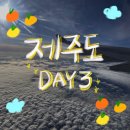 동홍중앙로 | 제주도 여행 DAY3