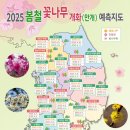 2025 봄철 꽃나무 개화 예측 지도(벚꽃 등) 이미지