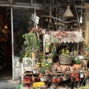 고망3 | 망원시장 먹거리 투어부터 한강 산책까지 (우이락 고망고 후기)