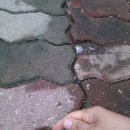 다현농장 이미지