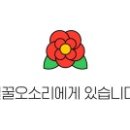 청춘꼬마김밥앤떡볶이원주