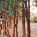 동이네민박 이미지