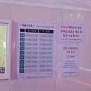 서울광장초등학교 | [서울] 시청역 서울광장 스케이트장 후기, 이용방법, 예약방법