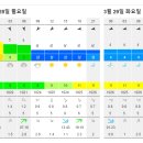 (예약완료).....3월29일 먼바다 갑오징어낚시 거문도/백도/여서도 대포갑 이미지