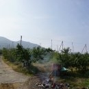 광운농장 이미지