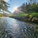 도자농장 이미지