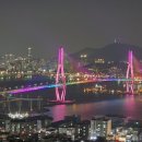 영도기획 파이낸셜뉴스