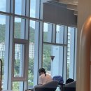 예체문화관 수달수영장 이미지