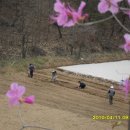 로사의 집 Daum카페