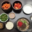 꿩대신닭 이미지