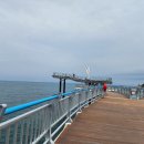 대진항 해수욕장 티스토리