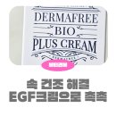 제노바이오 | EGF크림 추천! 속건조·속보습 잡아주는 바이오플러스크림 사용 후기