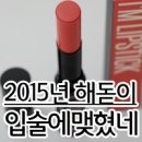 황금돼지꿈나라