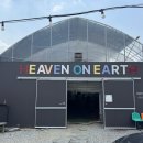 용인가볼만한곳 헤븐온어스에서 블루베리 체험농장