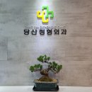 당산정형외과의원 이미지