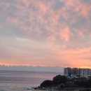 블루12속초테라 이미지