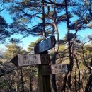 백자산식육식당 | [경산 등산] 대구 근교 백자산 초보 등산코스 후기