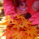 성만농장 | [30] 30회 기념(?) 우중 캠핑 - 포천 팜토리캠핑장 (2012.10.26 ~ 28)