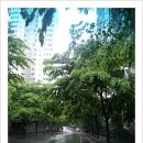 낙성대동-10 이미지