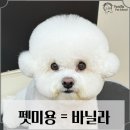 순창미용학원
