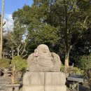 피그랜드 5단지 | [제주 4박5일 자유여행] Day3:: 제주 성산 가볼만한 곳 미천굴 관광단지 제주 식물원 일출랜드