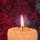 성곡로40번길 이미지