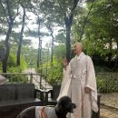 스테이 선명 이미지