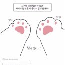 댕댕이미용 이미지