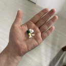 예일성모내과의원 이미지